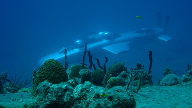 underwater.jpg
