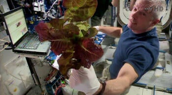 nasa-veggies350.jpg