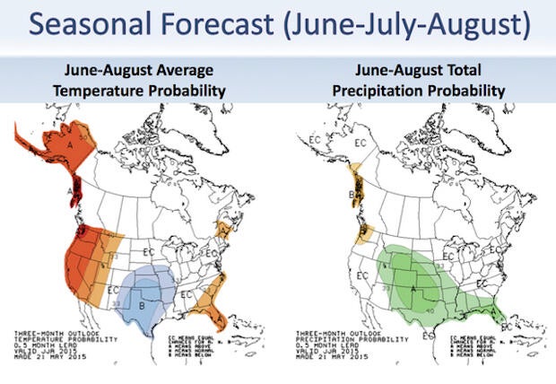 forecast.jpg