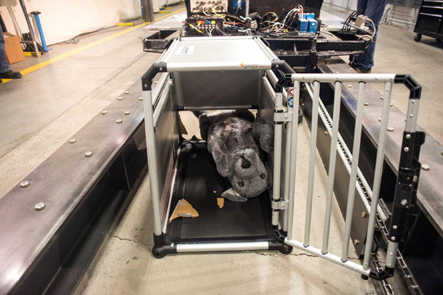 Crash Tests Raise Concerns Over Safety Of Pet Carriers - CBS News