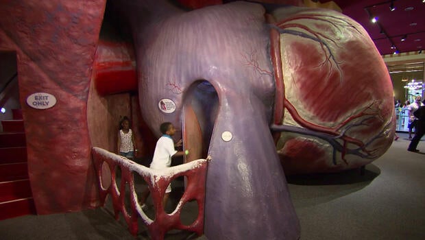 philadelphia-mo-rocca-franklin-institute-heart-620.jpg
