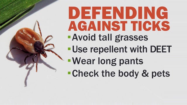Tick-borne diseases are on the rise. Here's what you need to know.