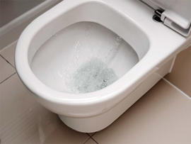 Flushing Toilet