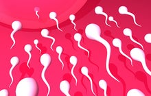 Sperm: 15 crazy things you should know