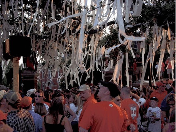 Toomer's Corner Tree Poisoning Arrest Made