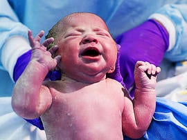 baby, newborn, child, birth, stock, 4x3