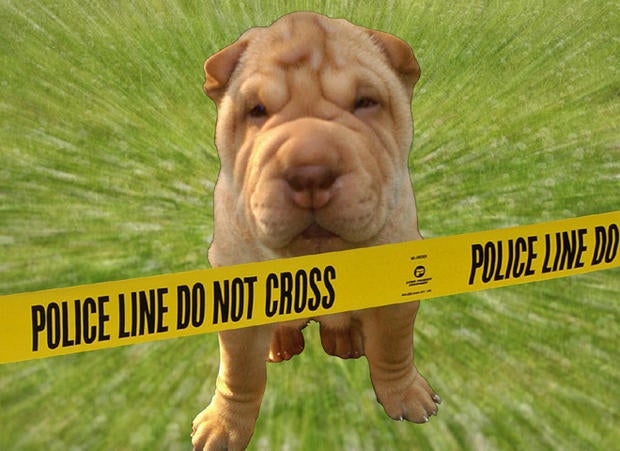 Dog DNA to nab poop-scoop scofflaws
