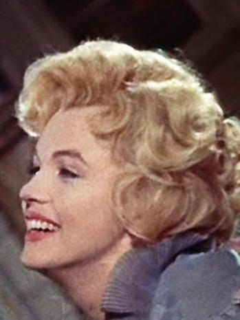Nose 13: The Marilyn Monroe - 14 celebrity noses: Whose schnoz do you