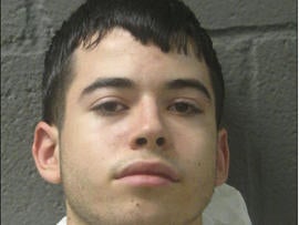 Illinois teen charged in parents' beating deaths