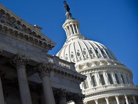 The dome of the U.S. Capitol is seen in Washington Jan. 4, 2011.