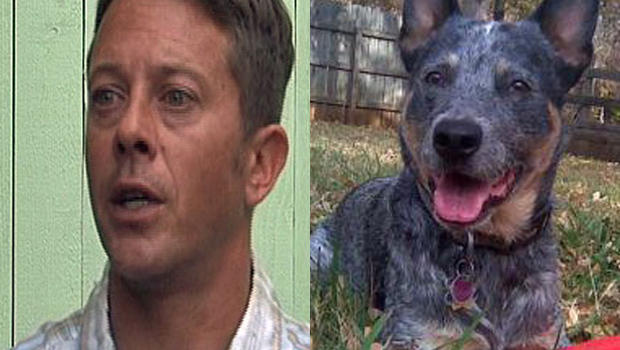 Michael Paxton created a Facebook page called &quot;Justice for Cisco,&quot; after his Australian cattle dog was shot by a police officer. KEYE/ Facebook - Untitled-4