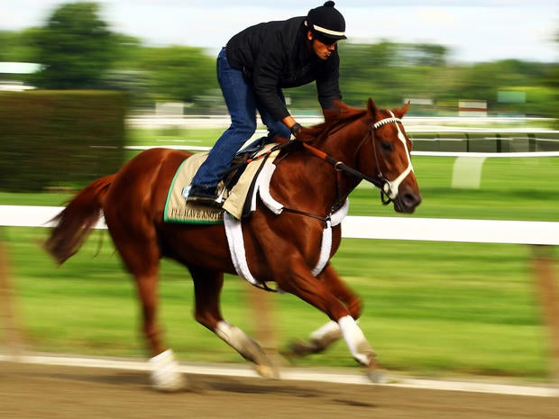 Triple Crown hopeful I'll Have Another gallops with exercise rider Jonny Garcia up during a morning workout at Belmont Park June 5, 2012 in Elmont, N.Y.