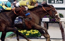 2012 Belmont Stakes
