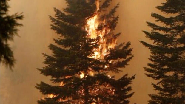 Wildfires threaten thousands of homes in Northern Calif.