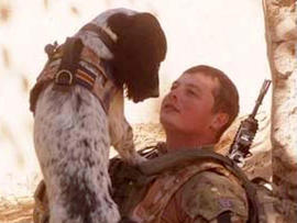 Lance Corporal Liam Tasker is pictured with his Springer spaniel mix, Theo. Theo, the bomb-sniffing army dog who died in Afghanistan on the day his handler was killed, has been honored with Britain's highest award for animal bravery.