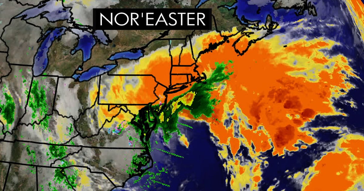New York area airports cancel flights in bomb cyclone winter storm forecast New York area airports cancel flights in bomb cyclone winter storm forecast