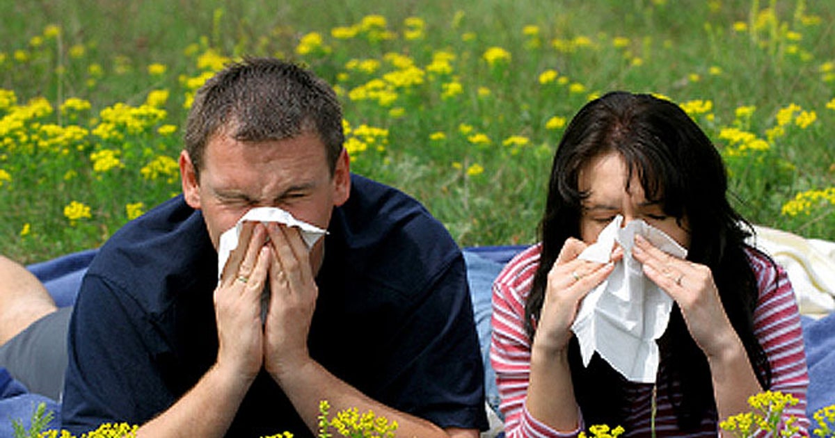 Experts Seasonal allergies to be especially bad this fall CBS News