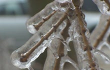 Tornadoes hit Ark. and Mo.