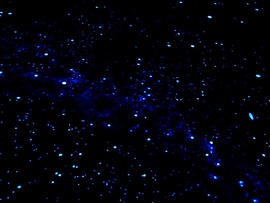 Frank Kovac painted 5,000 stars by hand.