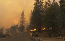 Rim Fire threatens Yosemite's cherished landscape