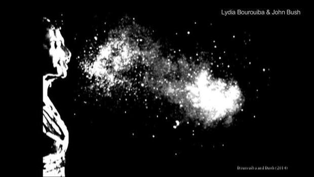 np-0409-sneeze-640x360.jpg