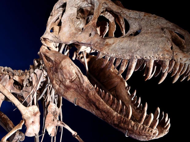 ctm0506dinoint1280x960.jpg