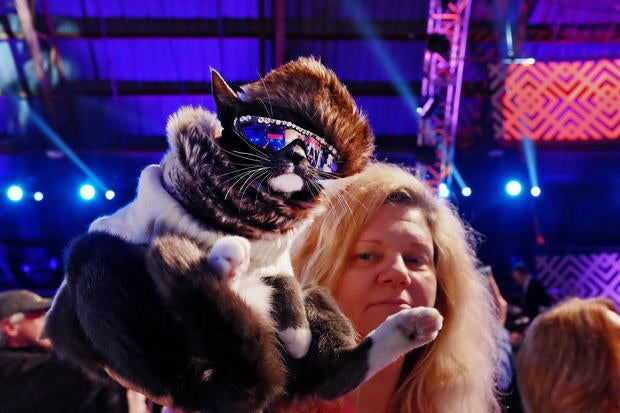 Dogs get their day - World Dog Awards - Pictures - CBS News