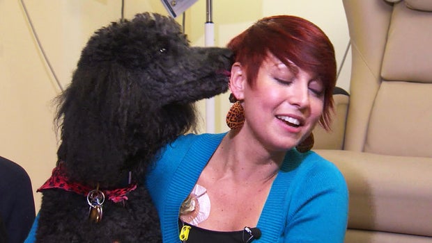 Can Pet Therapy Dogs Visit Cancer Patients Can Pet Therapy Dogs Visit Cancer Patients
