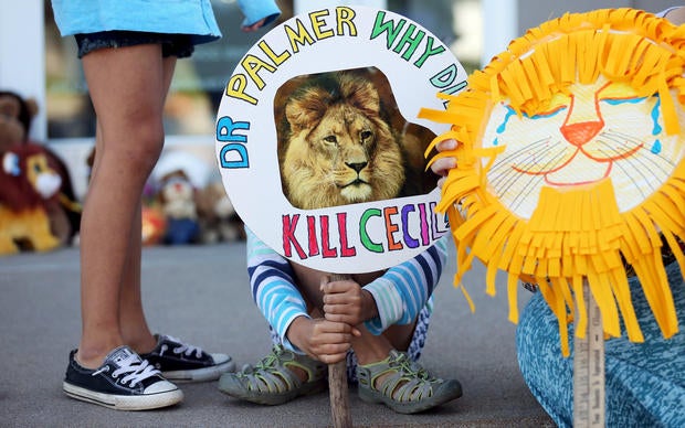 Cecil the lion killed in Africa
