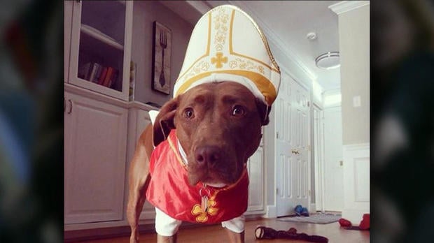 en0923popesocialmedia4.jpg