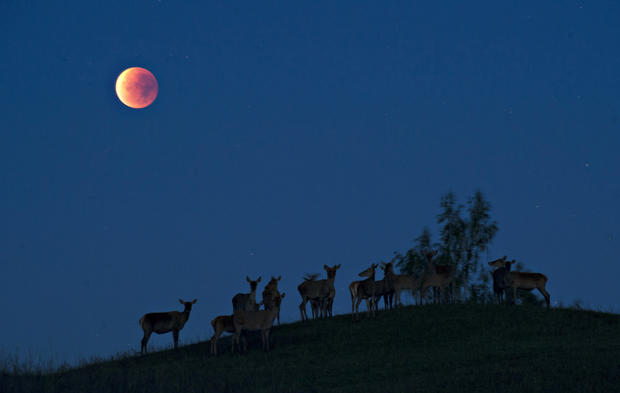 rare super blood moon eclipse astrology meaning