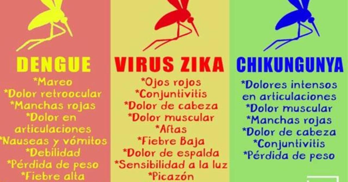 ¿cuáles Son Los Síntomas Del Zika Dengue Y Chikungunya Cbs News