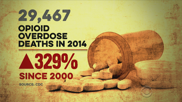 reynoldsopioids.png