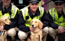 Therapy dogs arrive to help Orlando shooting victims 