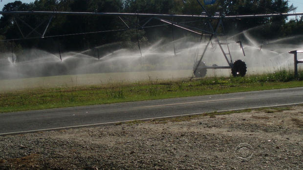 en0704strassmannhogfarms1088540640x360.jpg