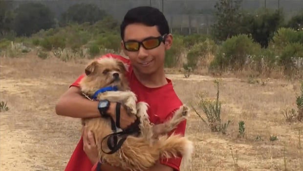 evans-shelter-dog-split.jpg