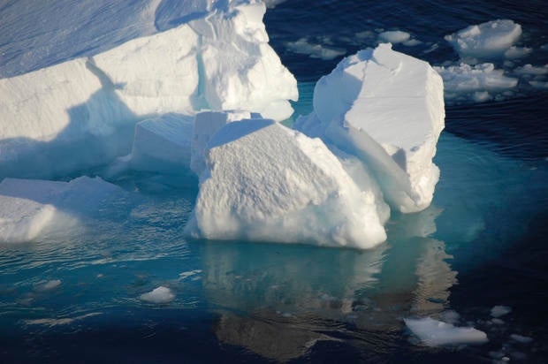arcticseameltpic2.jpg