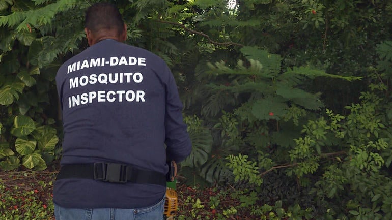 zikavirus-main.jpg