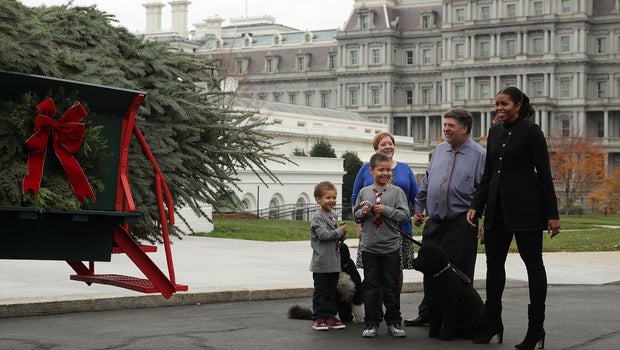 michelle obama receives last christmas tree as first lady michelle obama receives last christmas tree as first lady