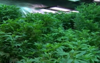 Can marijuana help with chronic pain?