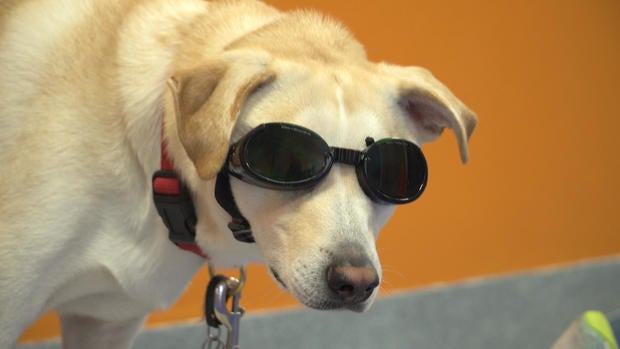 lab-laser.jpg