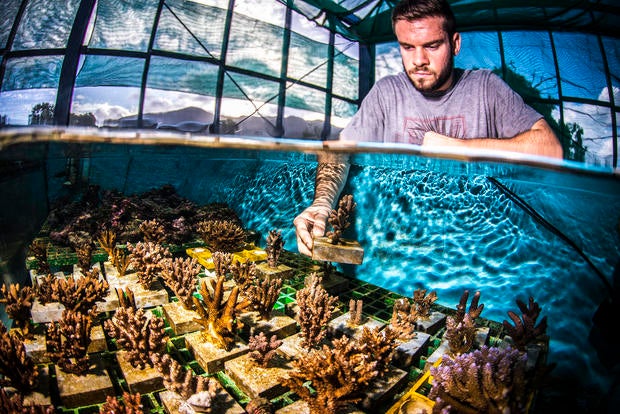 christianmiller-seasim-103.jpg