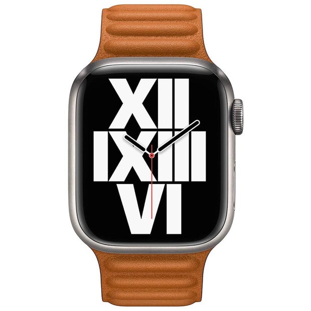 Apple Leather Link Apple Watch Band 