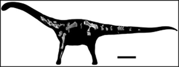 gorscaketalfig3silhouette-620w.jpg