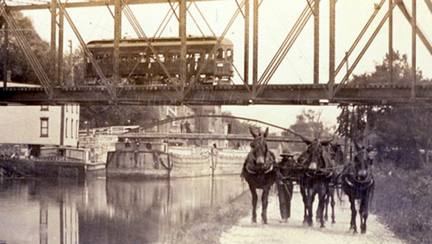 erie-canal-mules-at-lyons-620.jpg 