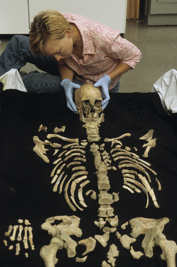 hawkinson-curation-figure-6jnov2013.png