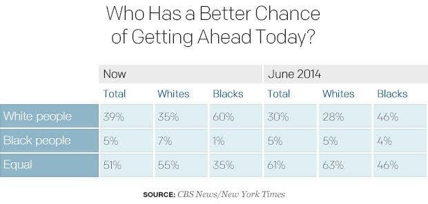 pollracerelations4.jpg