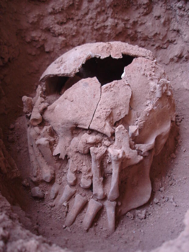burial-26-in-2007-credits-danilo-bernardo.jpg