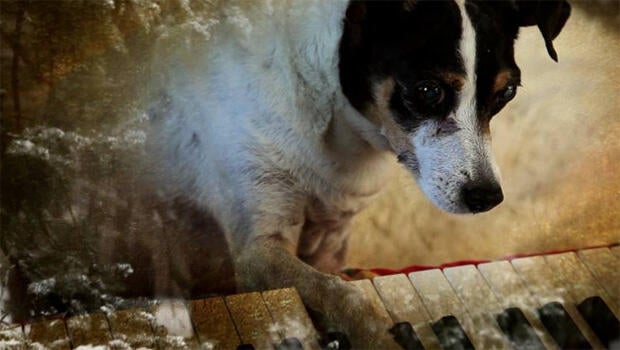 heart-of-a-dog-keyboard-620.jpg