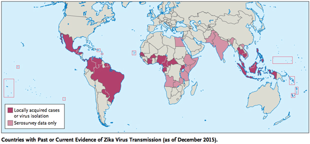 Cdc Evidence May Link Mosquito Borne Zika Virus Birth Defects Cbs News 